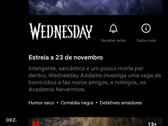 Netflix, Outros Serviços, Bissau