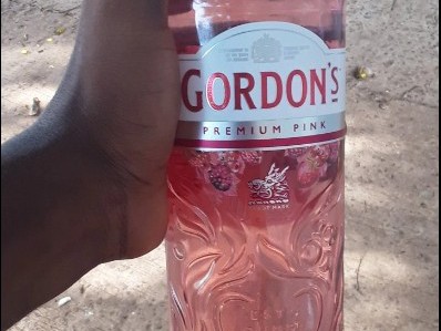 Gin Gordon Rose, Bebidas, Bissau