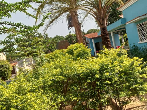 Casa em Bissau, Casas, Bissau