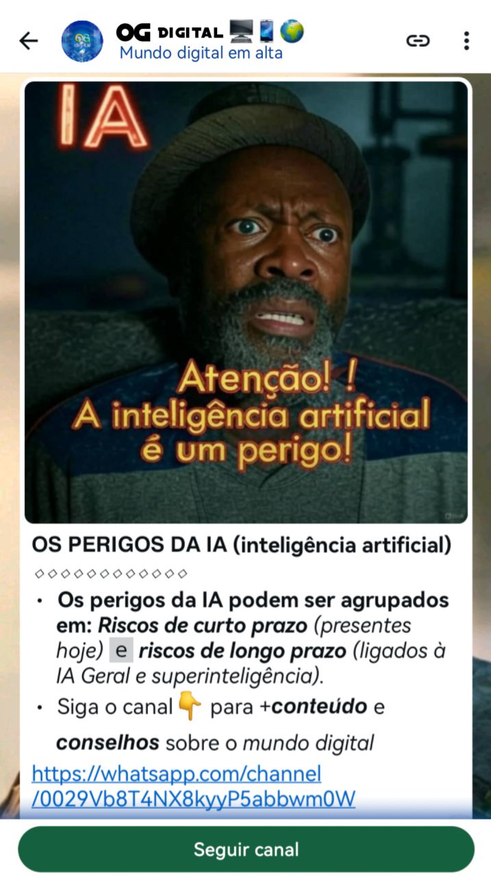 OG Tech Multisserviços, Outros Serviços, Bissau