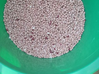 Mancarra, vende-se em Bambadinca, Outro Alimento, Bafatá