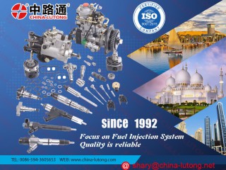 VE Diesel Fuel Injection Pump 0 460 424 496, Acessórios para Veículos, Bissau