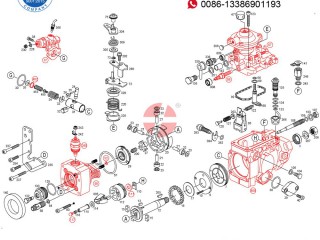 For 3963951 Cummins 6B 5.9L Fuel Pump, Acessórios para Veículos, Bissau