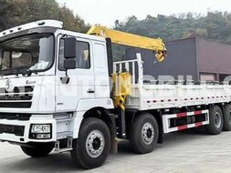 Carros com marcas diferentes, Carros, Bissau