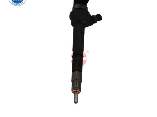 Diesel Fuel Injector 0 445 110 630, Acessórios para Veículos, Bissorã