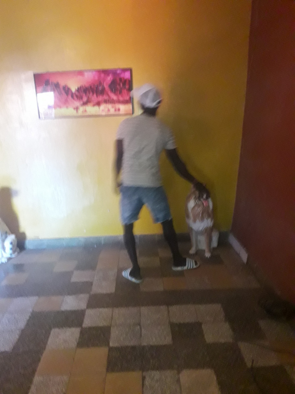 Casa a Bissau, Casas, Bissau