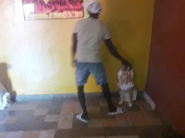 Casa a Bissau, Casas, Bissau