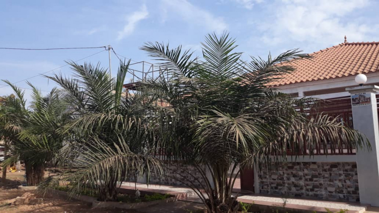 Casa a Bissau, Casas, Bissau
