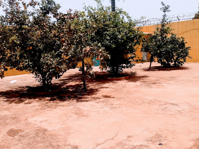 Casa em Bissau, Casas, Bissau