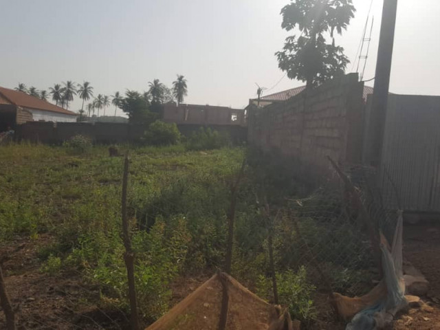 Território na área de Sintra, Terrenos, Bissau