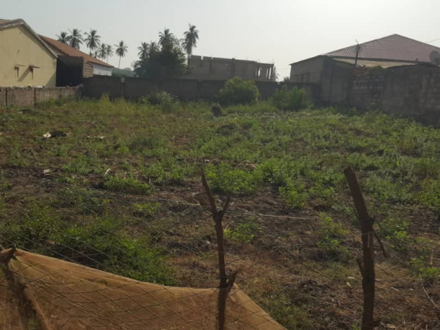 Território na área de Sintra, Terrenos, Bissau