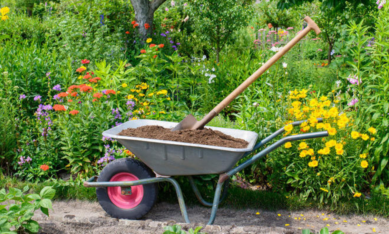 Trabalho de jardim, Serviços de Agricultura, Bissau