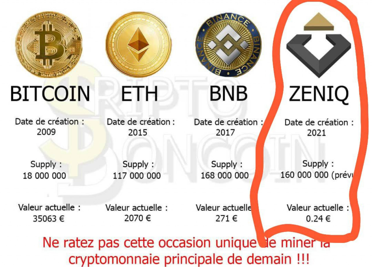 SAFIR ZENIQ, Outro para Negócios, Bissau