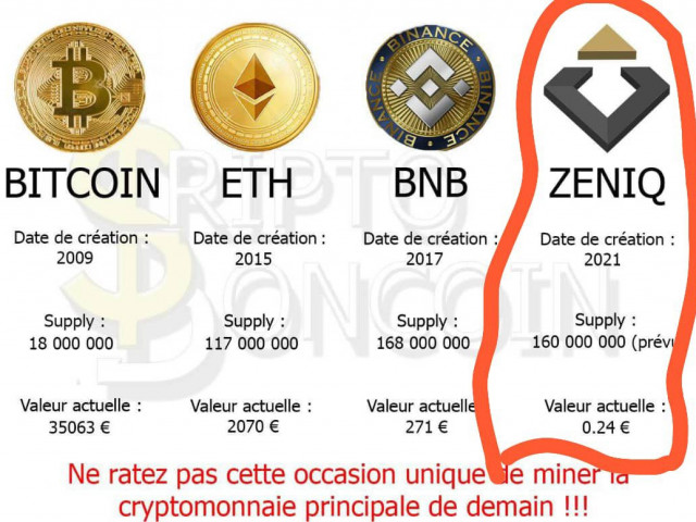 SAFIR ZENIQ, Outro para Negócios, Bissau
