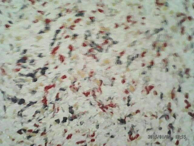 Pintura e decoração, Serviços de Construção, Bissau