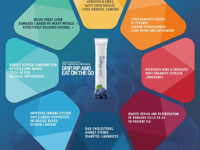 Lifreshlife Multisserviço, Negócio à Venda, Bissau