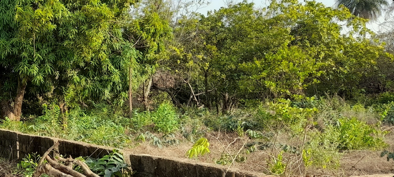 Terreno em Brene, Terrenos, Bissau
