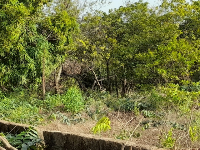 Terreno em Brene, Terrenos, Bissau