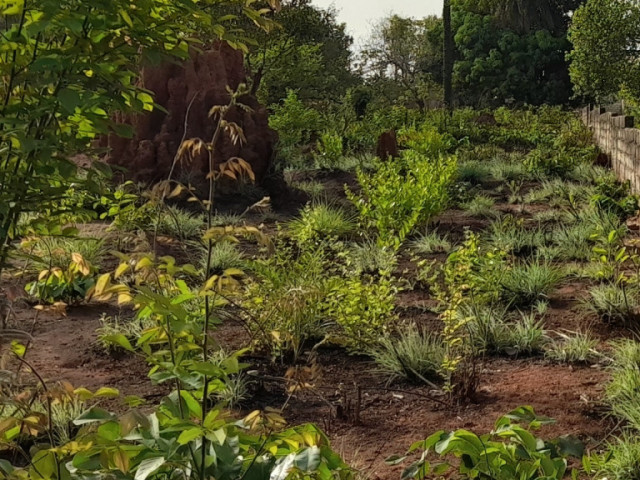 Terreno em Brene, Terrenos, Bissau