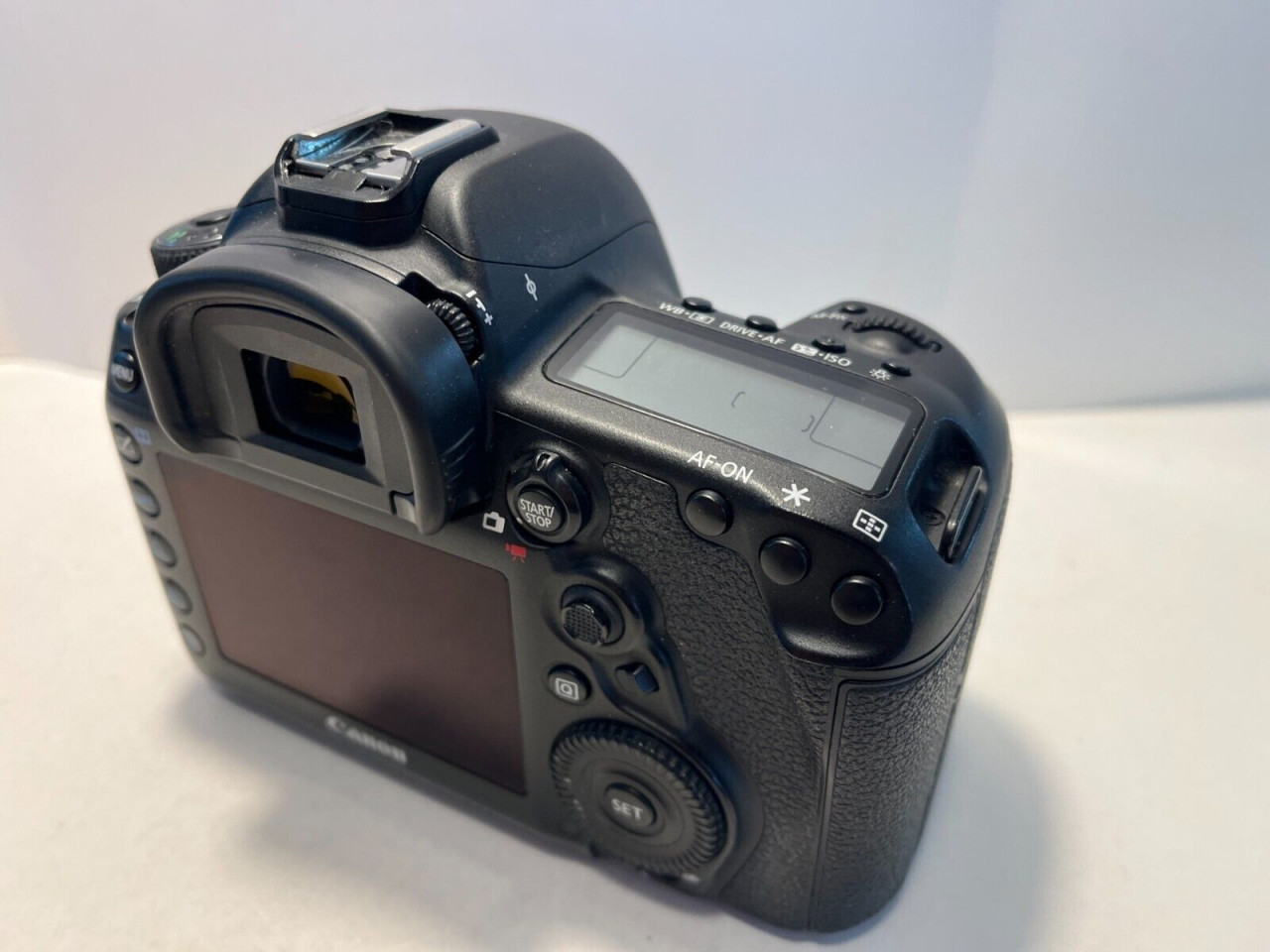 Canon EOS 5D Mark IV, Câmeras - Imagens, Buba