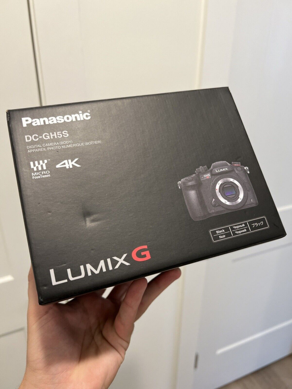 Panasonic Lumix G DC-GH5S Camera, Câmeras - Imagens, Bissau